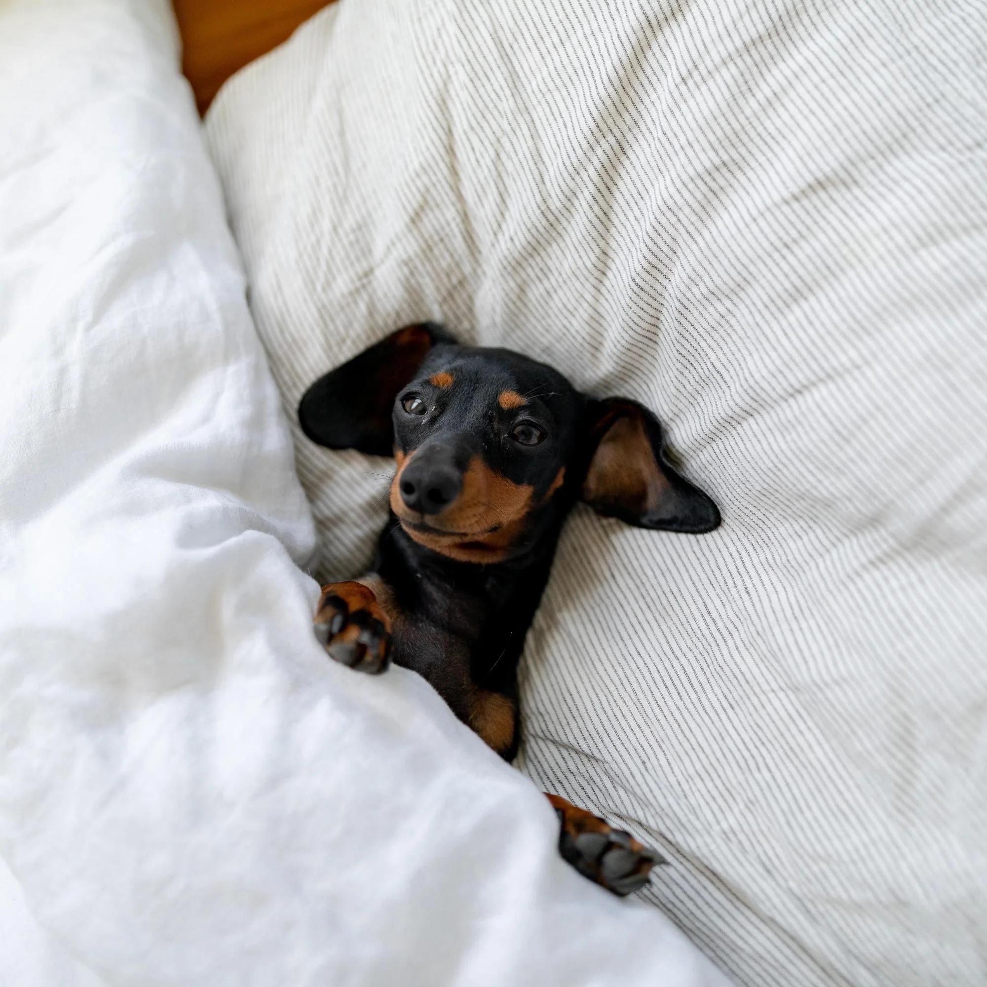 Pinstripes Linen Pillowcases - Image 6